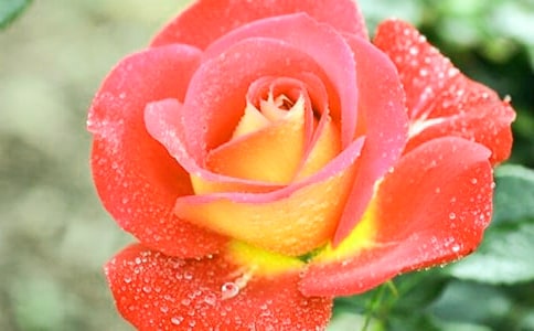 �¼���200������