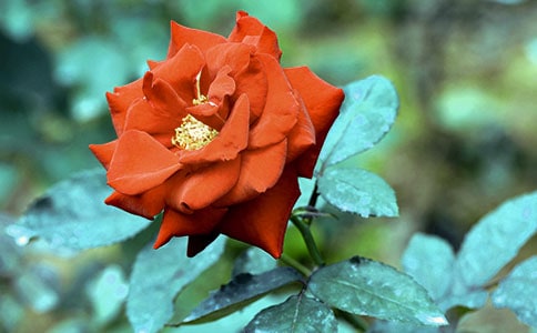 �¼������ģ���ѡ11ƪ��