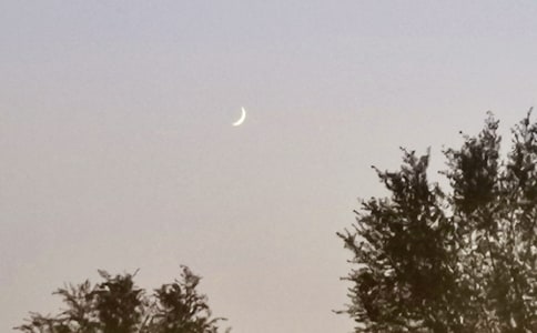 ����ѡ������������300�ֻ���8ƪ