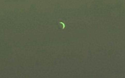 �����Ĵ�˵����600��3ƪ