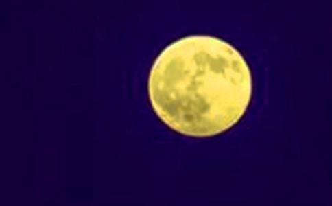 ��Բ������600�ֺϼ�6ƪ