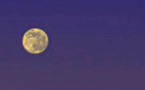 ��Բ������300�ֺϼ�7ƪ