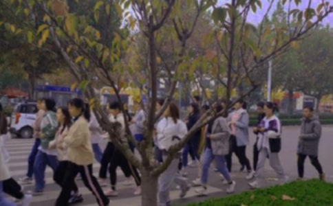 看早操三年级作文