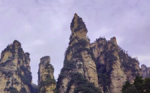 ���żҽ�ɭ�ֹ�԰����