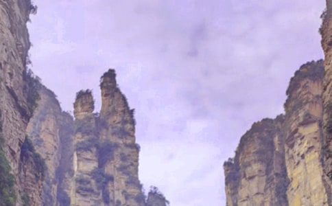 �żҽ��μ����ģ�ʵ��15ƪ��