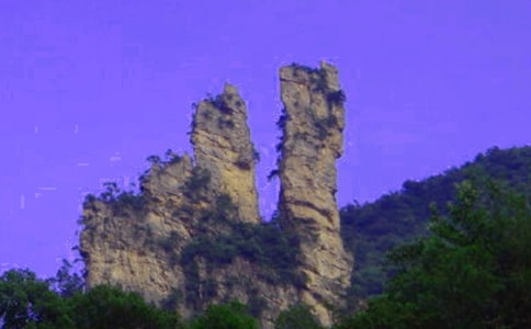 ���żҽ�ɭ�ֹ�԰����(�ϼ�4ƪ)