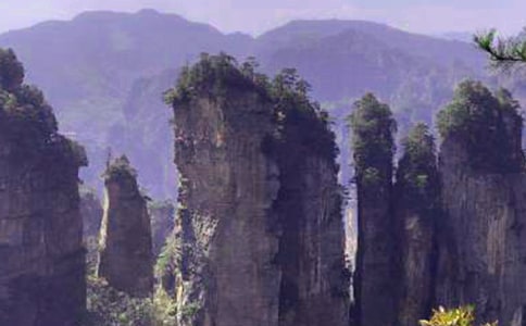 ���żҽ��и�����