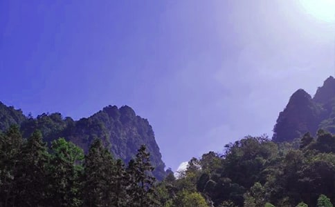 ���żҽ��и�