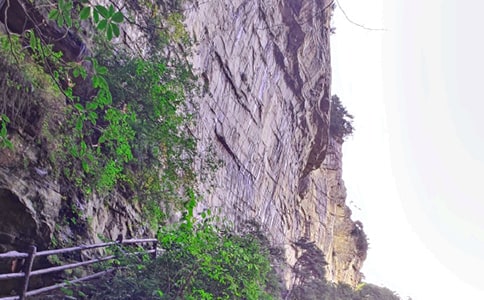 �������żҽ�����500��[ͨ��4ƪ]