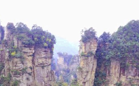 �żҽ��μ�����(15ƪ)