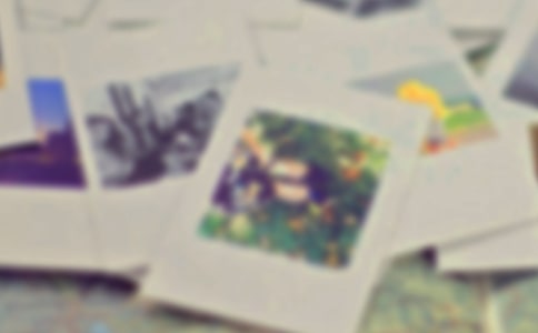 我最喜欢的一张照片二年级作文示例