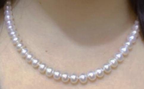 ������԰�μ�����