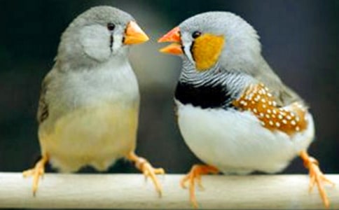 ���������и�15ƪ