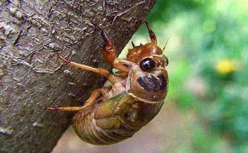 ֪������300��