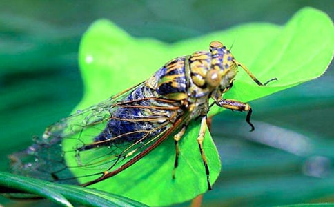 ֪����������300��