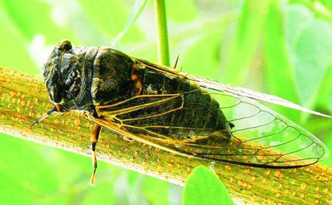 ֪�˵�����400��6ƪ