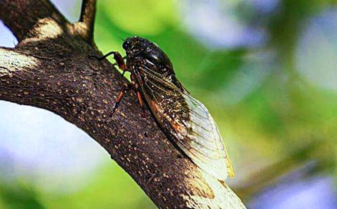 ����֪������300�֣���ѡ45ƪ��