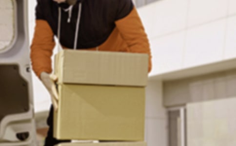 �񶷼ҵ�ְҵ���꼶����