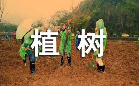 ����ѡ��ֲ�����꼶����5ƪ