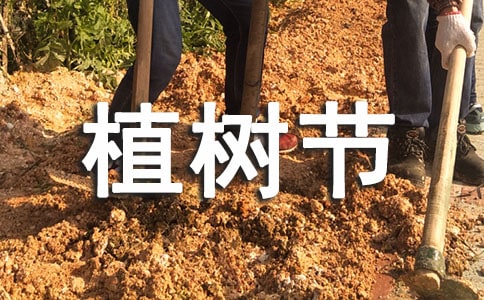 ֲ����Сѧ����(15ƪ)