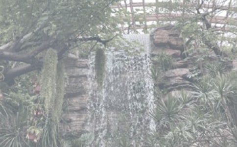 ����ֲ��԰���Ļ��15ƪ