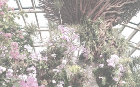 ����ֲ��԰���ġ�����