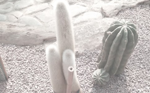 �����ֲ��԰д������