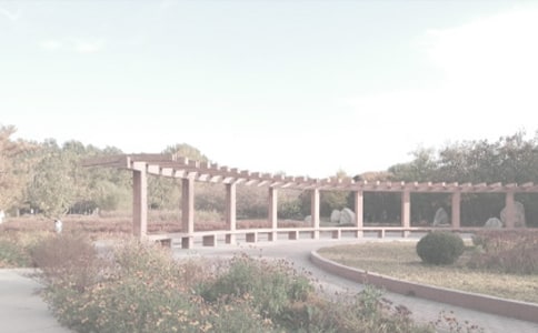 ������ֲ��԰д������