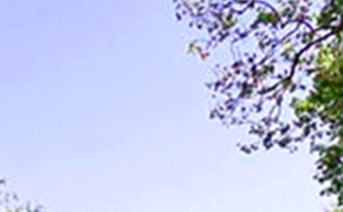 ����Ʒ����������300��4ƪ