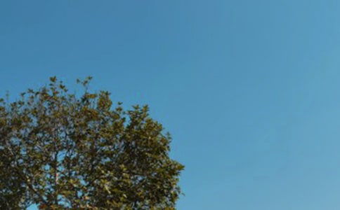 ������������300��3ƪ