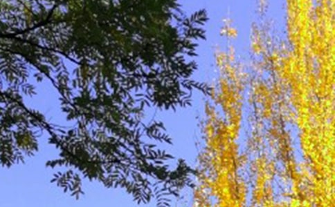 ���Ƽ�����������300��4ƪ