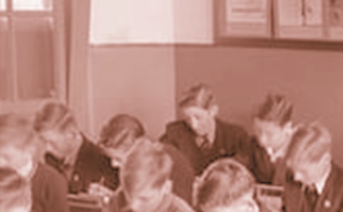 ��ѧ��д������10ƪ