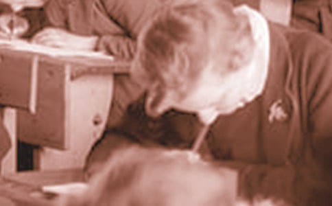 ��ѧ�������