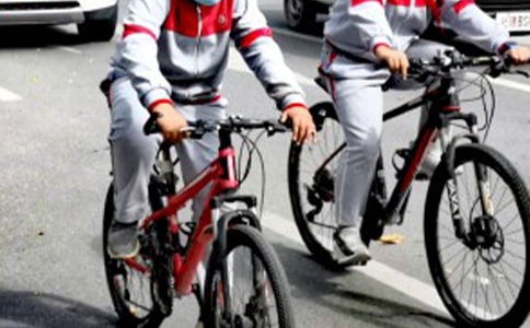 ��ѧ��������������1000�ַ�����11ƪ��