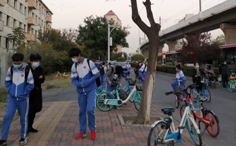 ���ر�������ѧ������300�ֻ�����ƪ