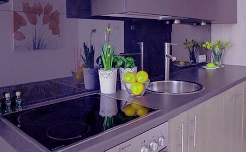 为小鱼的家装修叙事作文