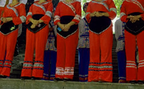 壮族作文300字六篇