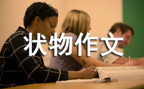 ����ѡ����д״������300�ּ�����ƪ