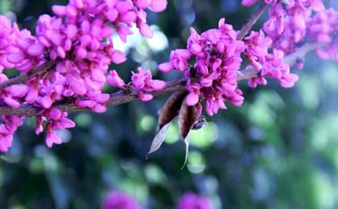 �Ͼ�������500��6ƪ