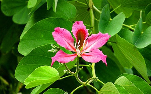 �Ͼ�������500��9ƪ(�ϼ�)