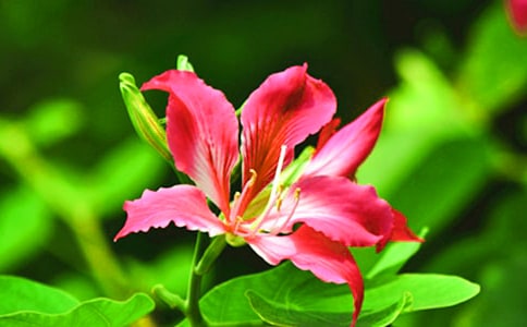 �������Ͼ�������ʾ��