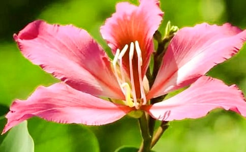 �����Ͼ�������500����ƪ