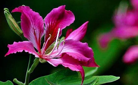 ���ر����Ͼ�������500��3ƪ