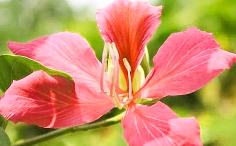 �����Ͼ�������500��4ƪ