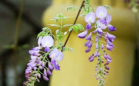 ���ٻ�������300��10ƪ