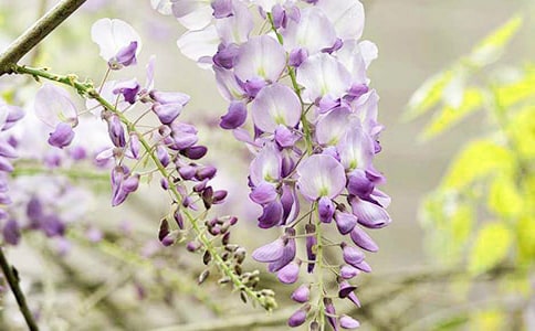 ���ٻ�����600��7ƪ