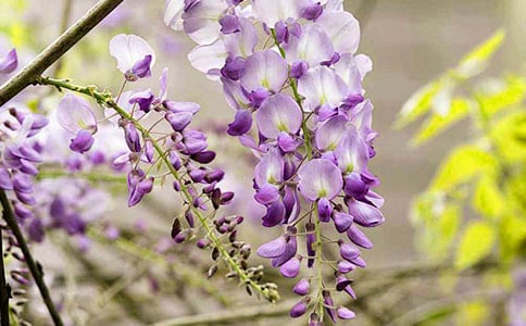 ��ѡ���ٻ�����300����ƪ