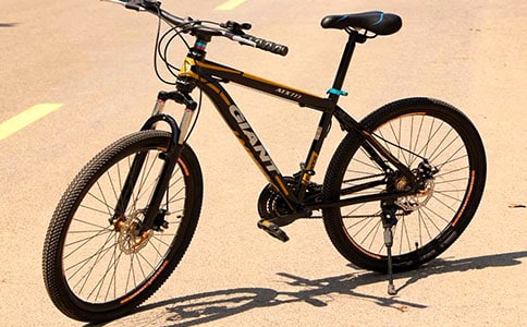 学自行车作文500字5篇