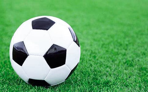 ���꼶����������ƪ