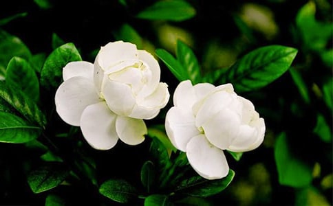 ����600������